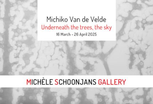 MS Gallery