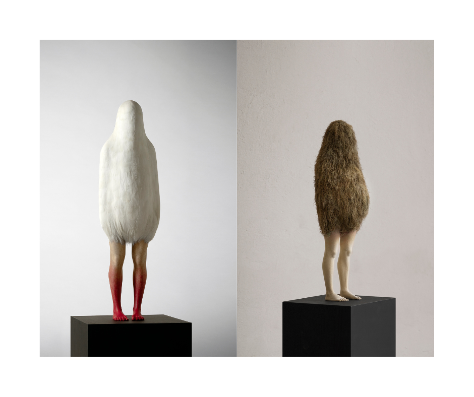 Oeuvres d'Andreas Senorer